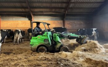 Incredible farm girl operating farm machinery, transporting feed, milking cows, performing hoof care, and feeding calves on a modern dairy farm.